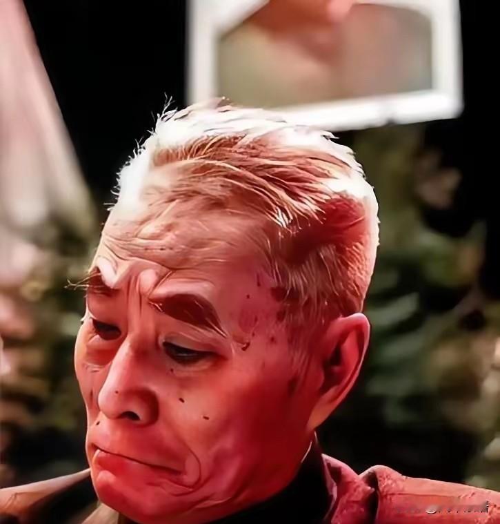 多年以后，风烛残年的黄维双眼朦胧，内心悲恸，凝神看着那个身覆红旗的、已经是传奇的