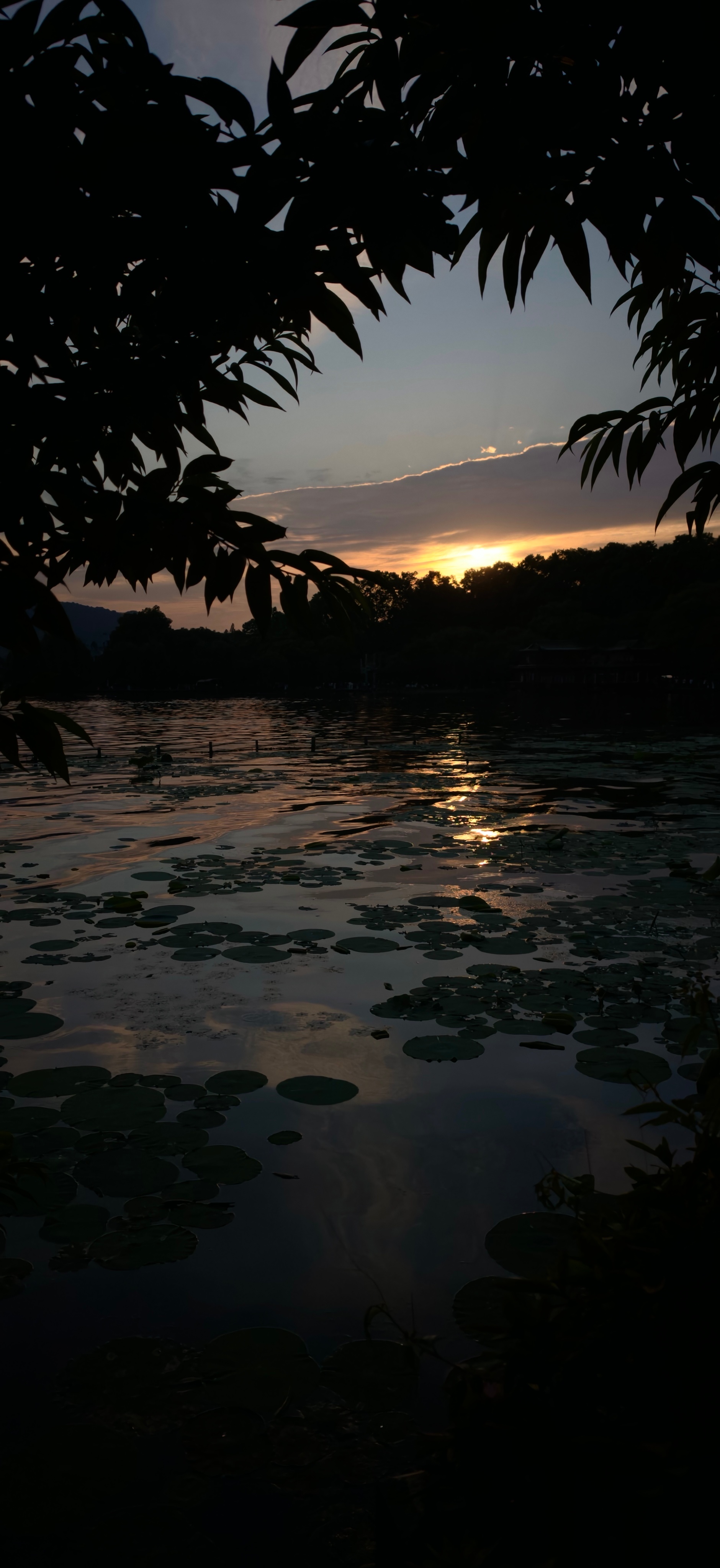 西湖初夏的黄昏，太温柔了 