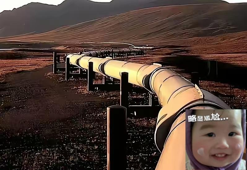 德国这下真要慌了。
有知情人士薄爆料，俄罗斯已明确通知哈萨克斯坦和德国，从今年5