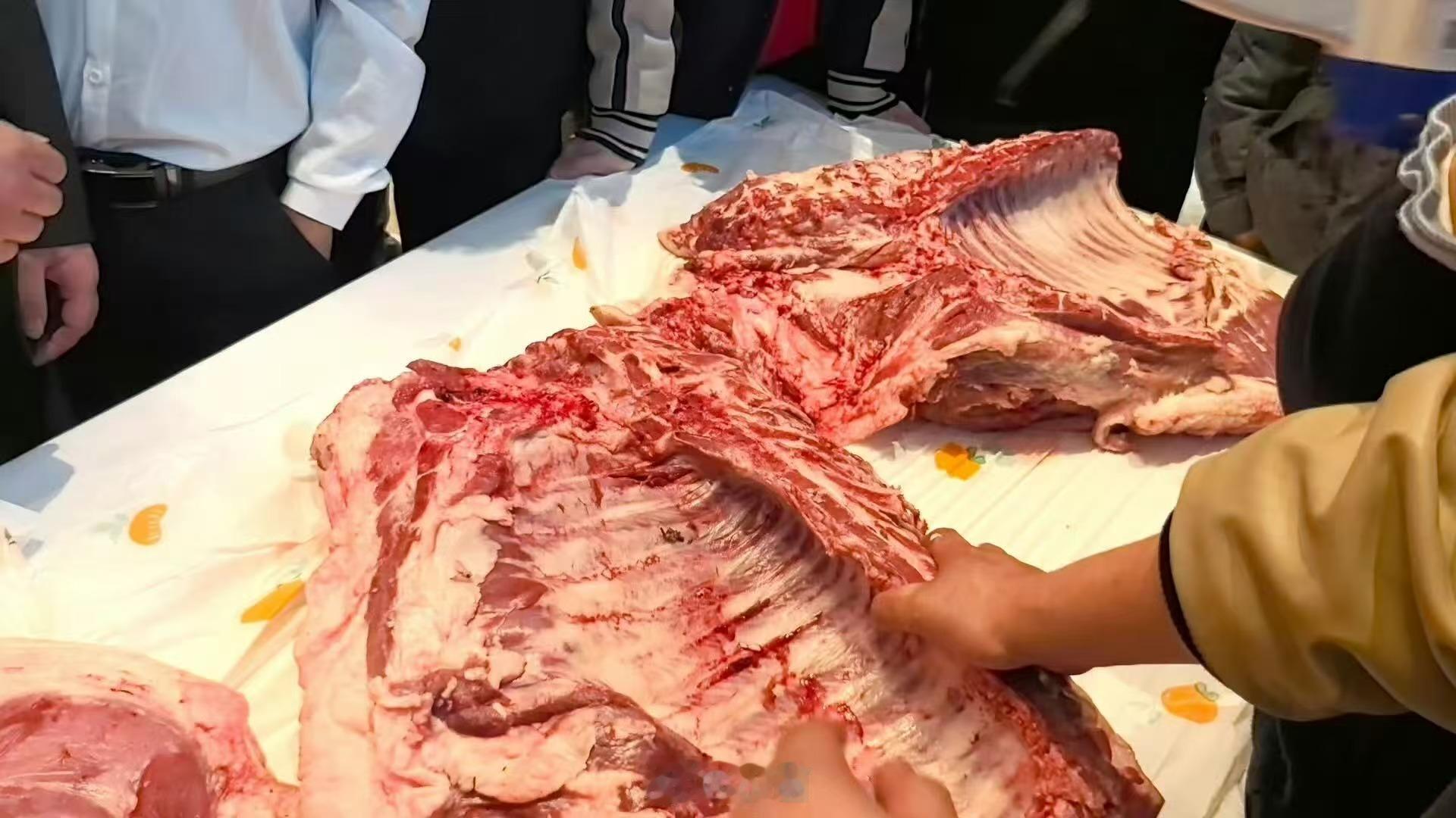 年会中的1头猪卖完赚千元男子年会吃辣赢走300斤年猪别人年会抽红包，他直接赢走一