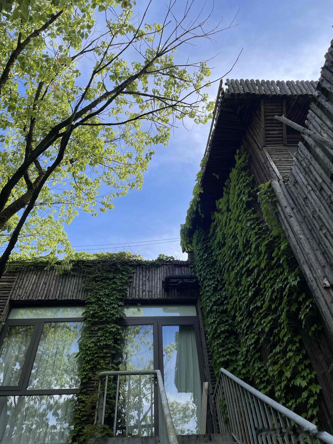 我认为敢

一句话：成熟的高阶自动驾驶（L4）在常规路况已经比人安全；

普通辅