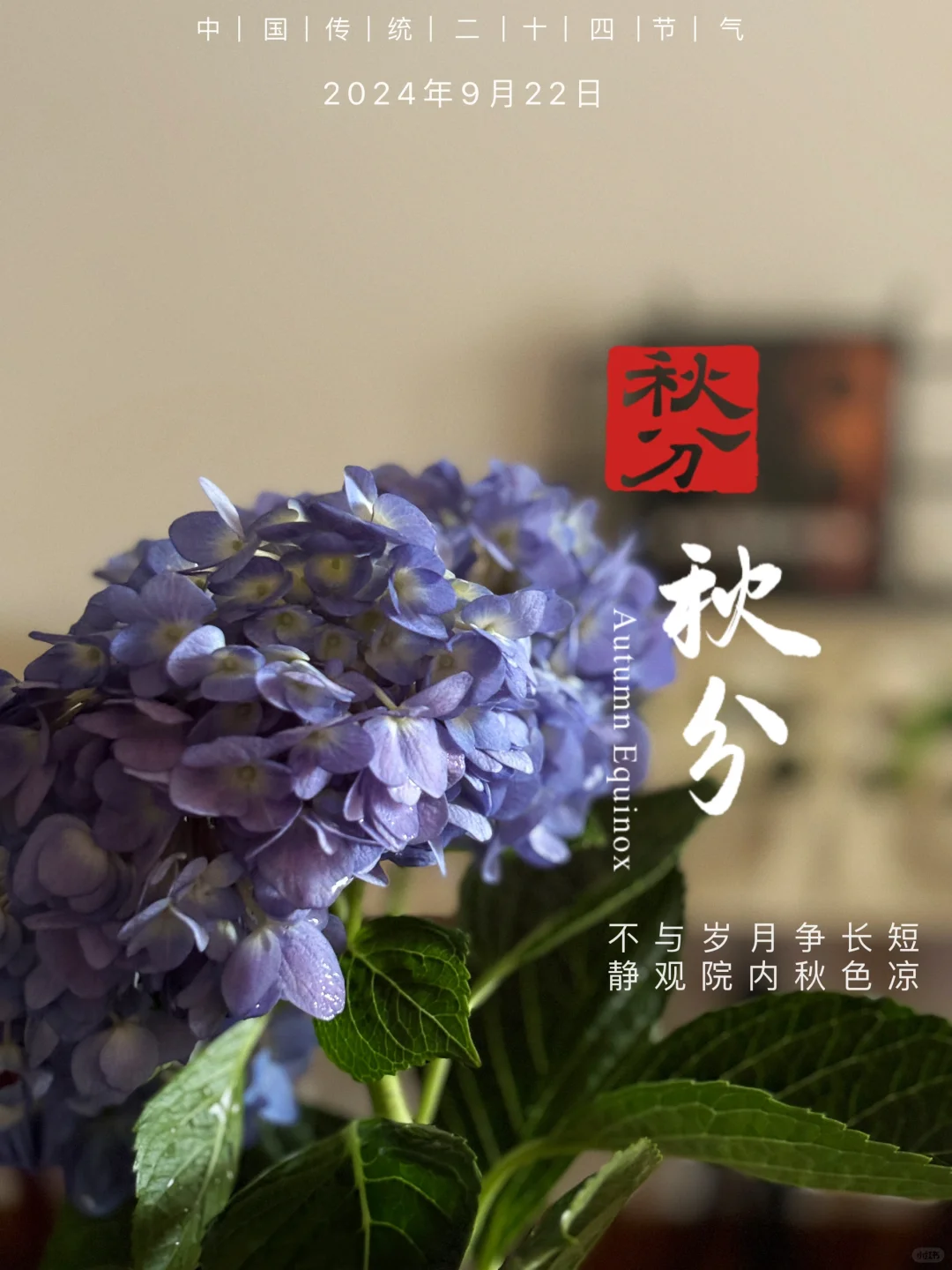 秋分🍂🍂🍂白昼与黑夜均分岁月，为山谷蒙上一层温婉的诗意