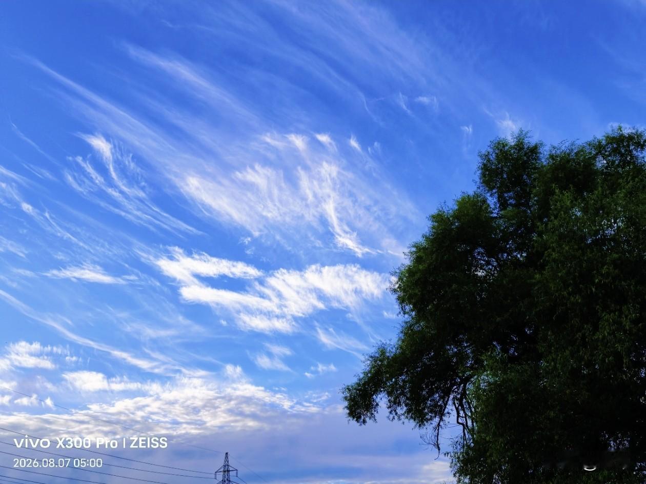 【原创\图文】
昨天下午和昨天夜间的两场大雨，把高温酷暑都带走了，终于让我们熬过