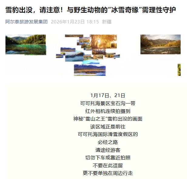 官方通报“可可托海雪豹咬伤游客”：已送往医院救治，伤情平稳