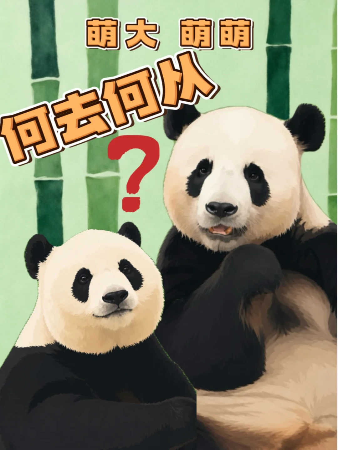 萌大，你是透明熊吗？