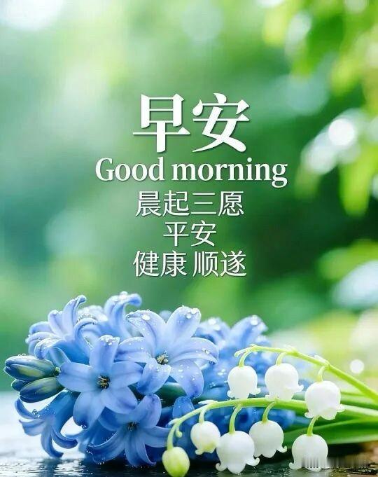 🍂²⁰²⁶/₀₈.₁₇ᵕ̈ 周一｜晨光入怀☕️

初阳漫过楼宇，洒下柔和清辉，