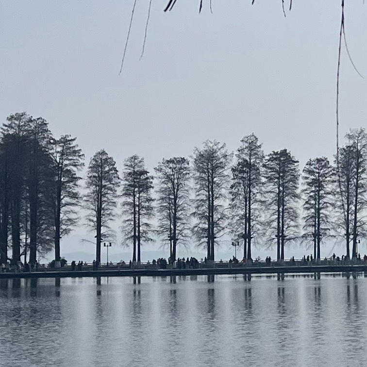 🌻向日葵追着光的方向转身，原来你微笑的弧度里，藏着整个夏天的阳光。 