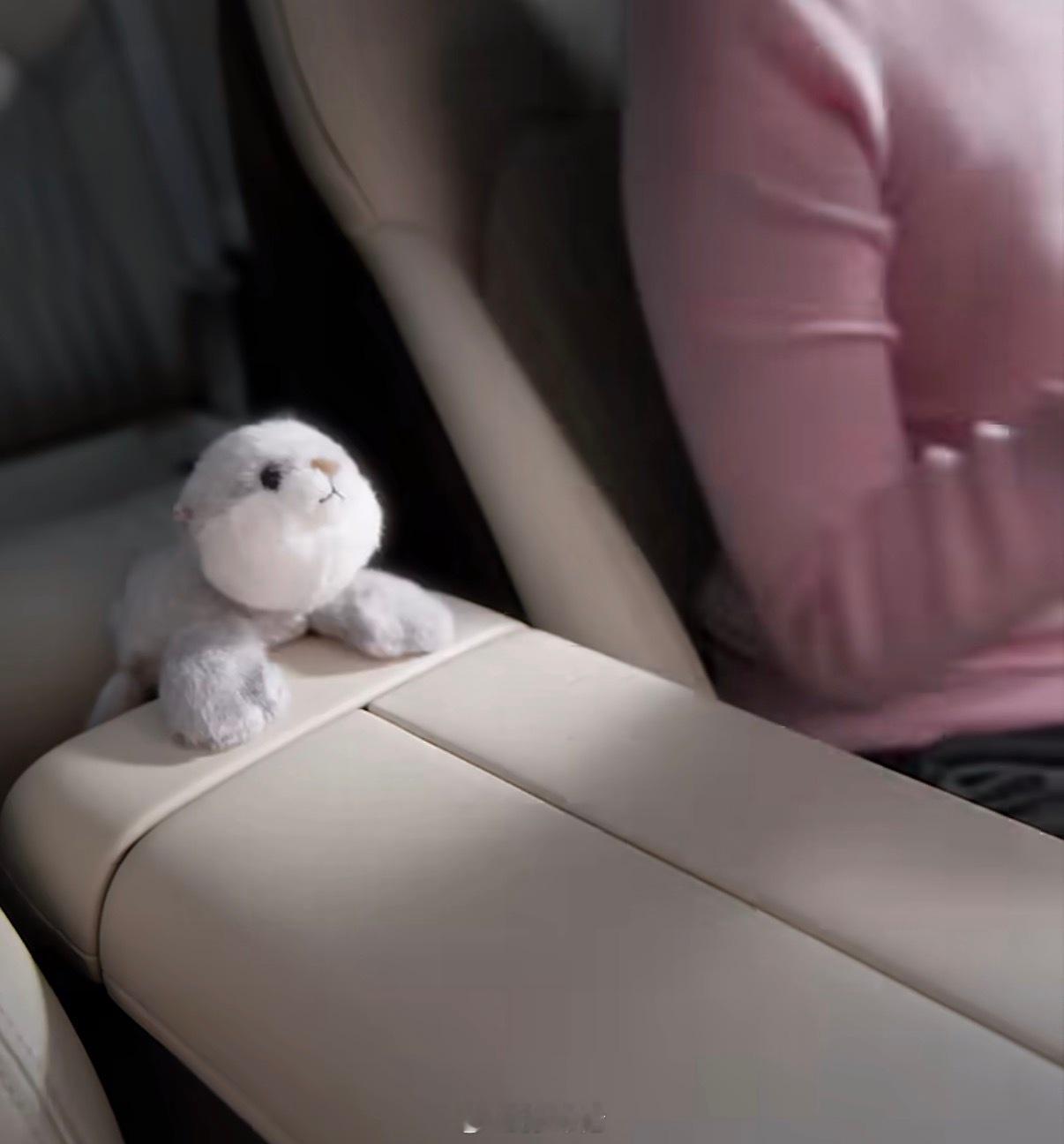 磁吸玩偶NFC版！YU7也会上，狠狠地期待住OTA了啊早上的礼物咱也是领上了新S