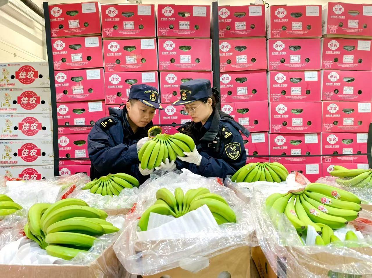 【历史最佳！宁波两大综保区双双跻身全国前十 】海关总署2025年度综保区绩效评估