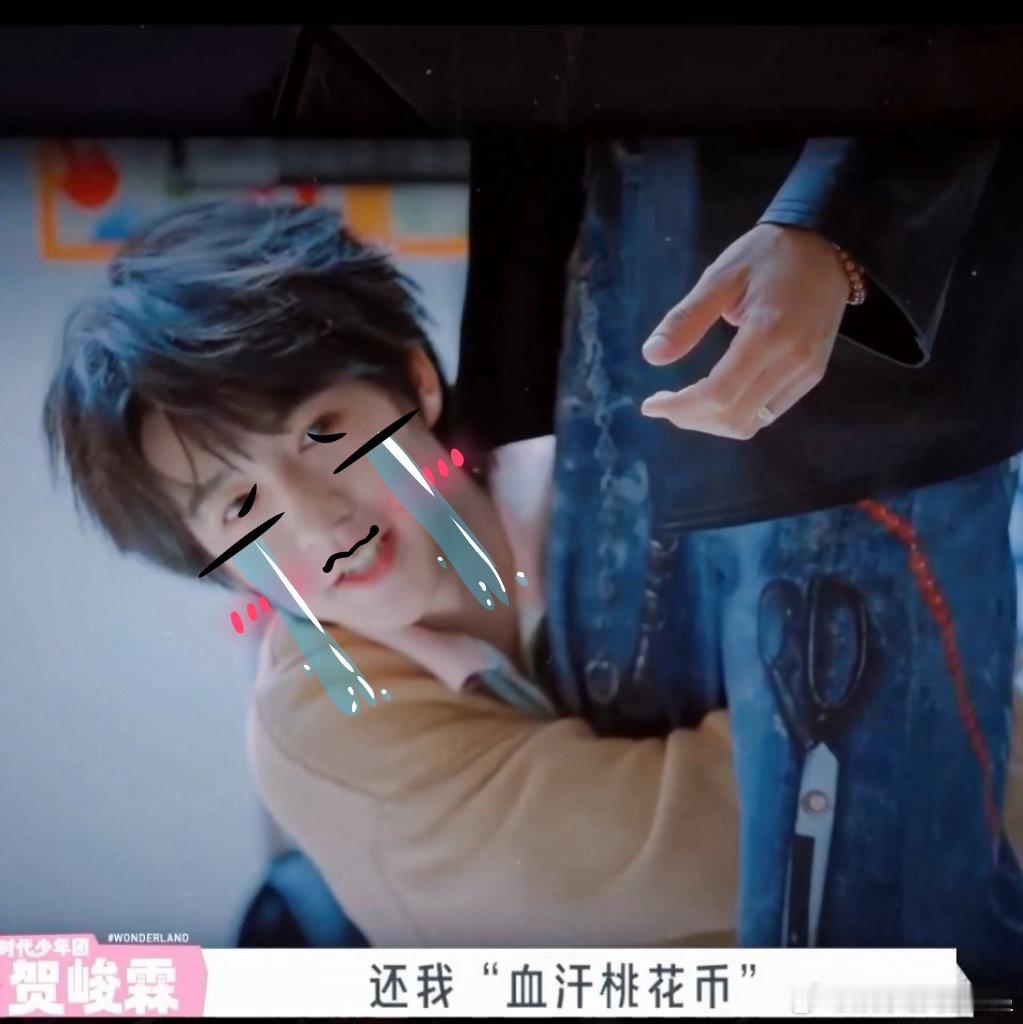 阿如那快把贺峻霖的血汗钱还他贺峻霖平日舍不得随意花费桃花币，每一次任务都认真争取