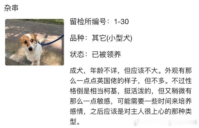 北京公安局领养犬页面，的确是有爱心的人在做这件事。 