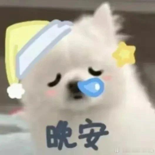 睡觉啦，晚安💤 