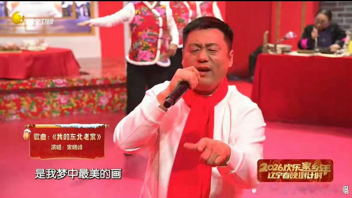 宋晓峰硬核DJ版我的东北老家辽宁春晚不被外界定义，不被情绪绑架，按自己的心意活着