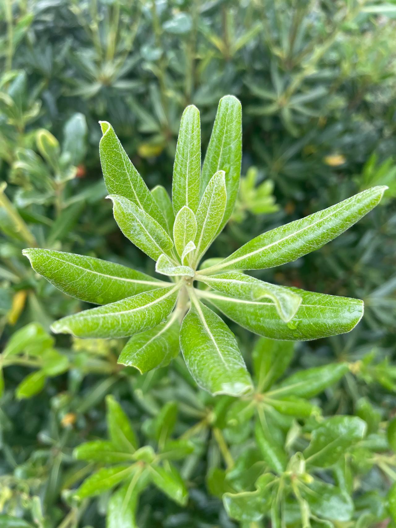 #你最爱的运动是什么#
跳舞、散步🚶‍♀️、爬山🧗。