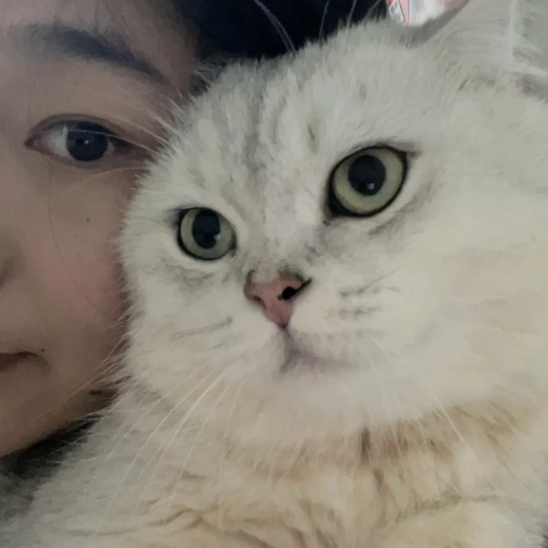 团子：我不想拍！！！