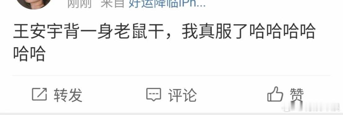 王安宇背出发团老鼠干王安宇带出发团老鼠干上台王安宇背着出发团的老鼠干，哈哈哈，