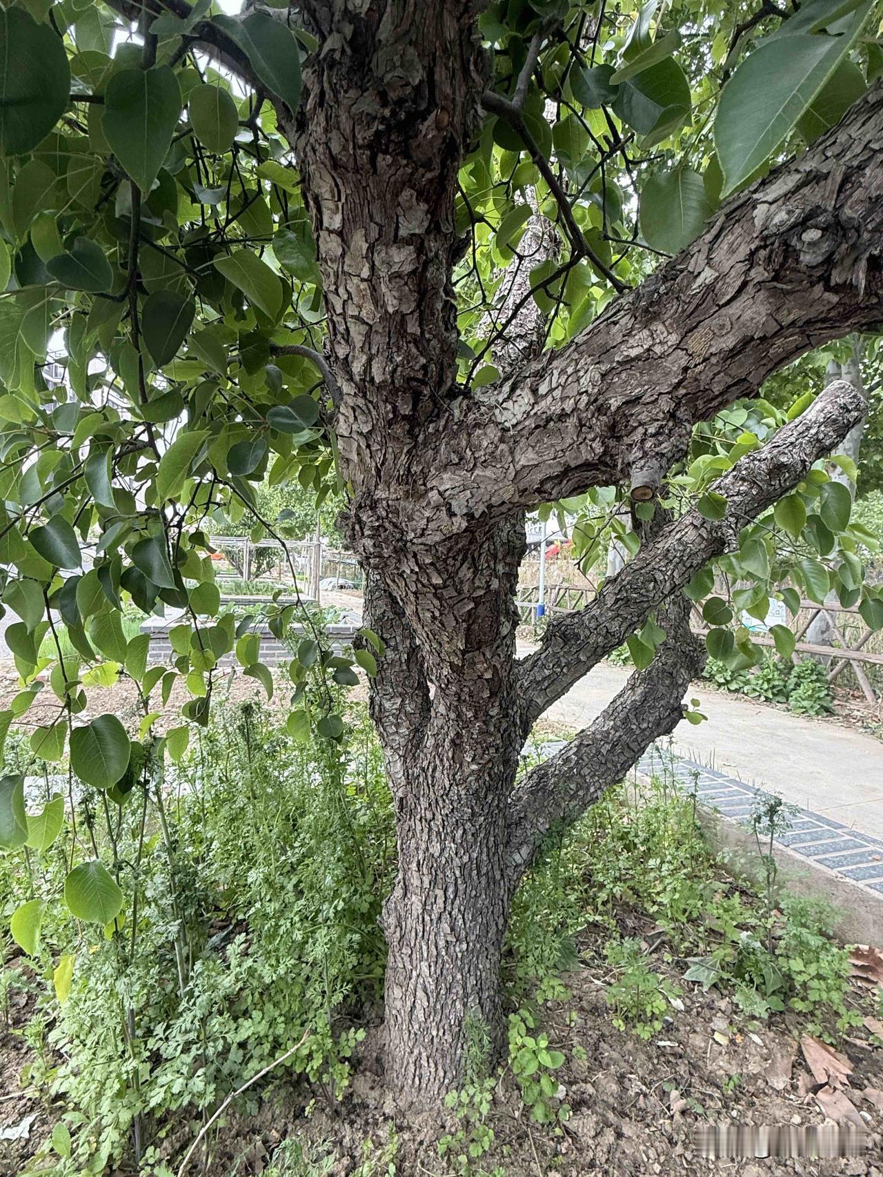 【小对联】
上：特展；
下：……？