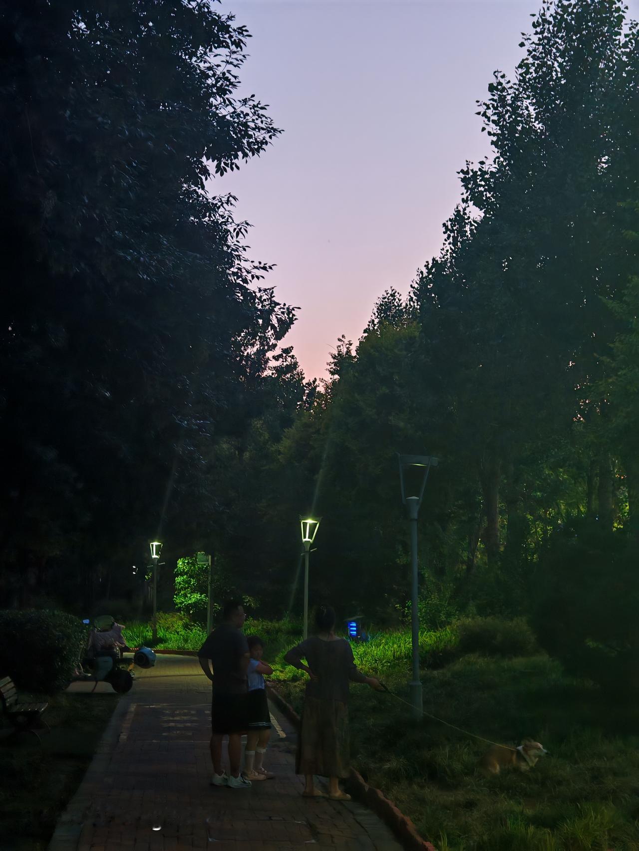 傍晚去小区散步，那安静劲儿，仿佛整个世界都按下了静音键。
路灯散发着暖黄的光，把