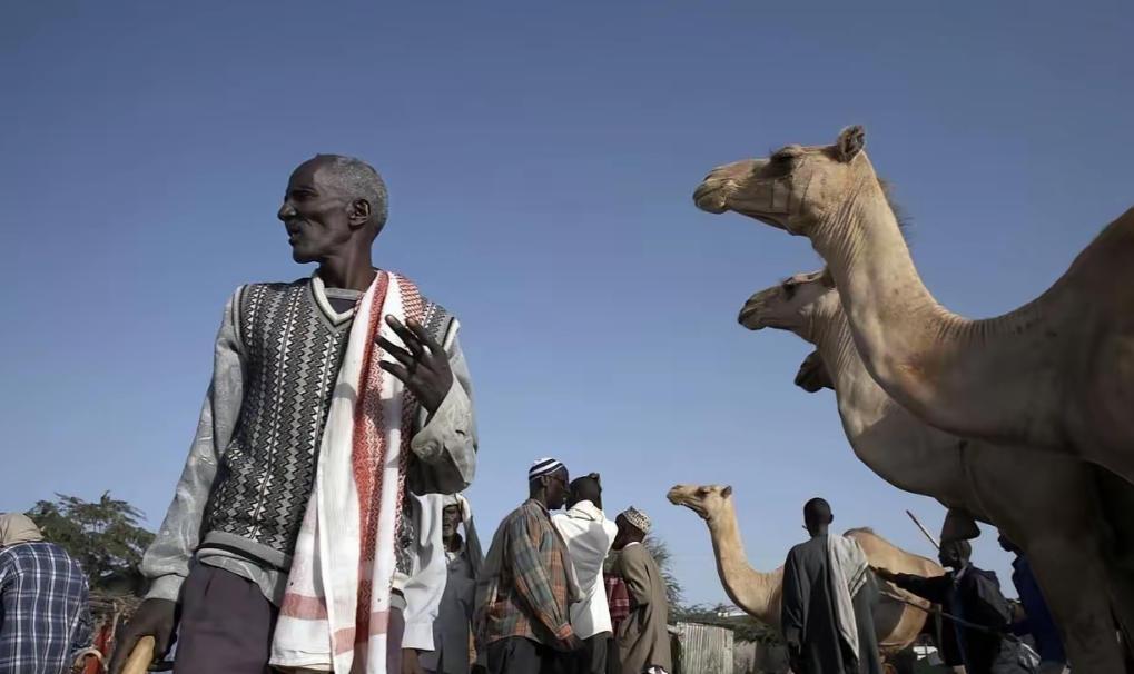 1978年，索马里沙漠一个13岁女孩被父亲以5头骆驼卖给60岁老人，当她赤脚逃出