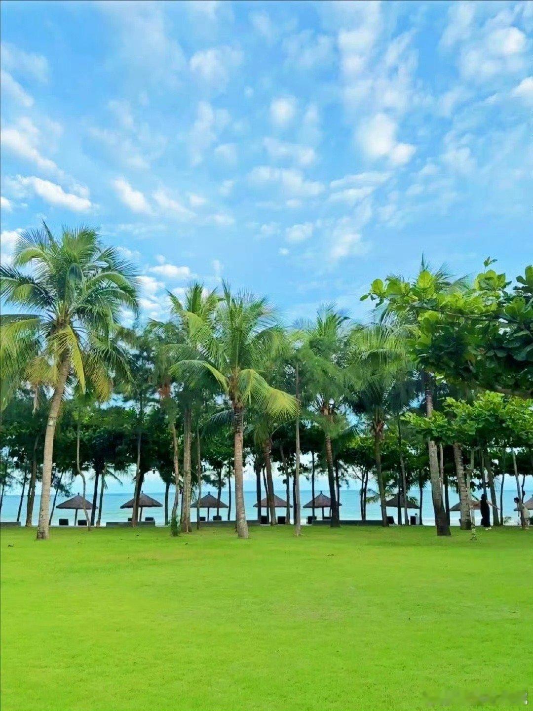 越来越多人都去三亚过年了 三亚不仅因其温暖的气候和美丽的海滩而受欢迎，还因其丰富