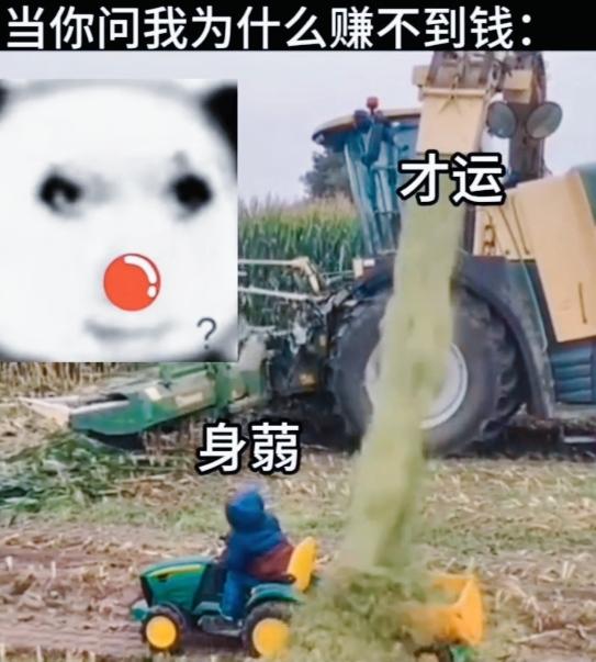 我身弱之人，请看。有人问我怎么挣不到钱。你呢？