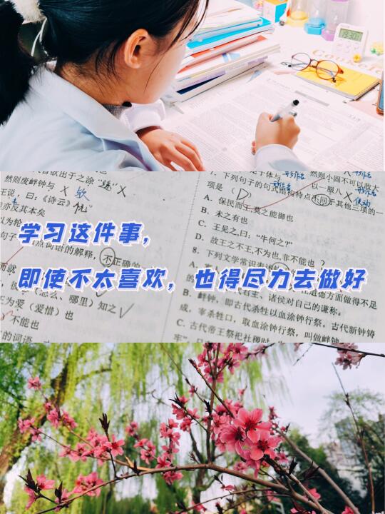 学习这件事，即使不太喜欢，也得尽力去做好