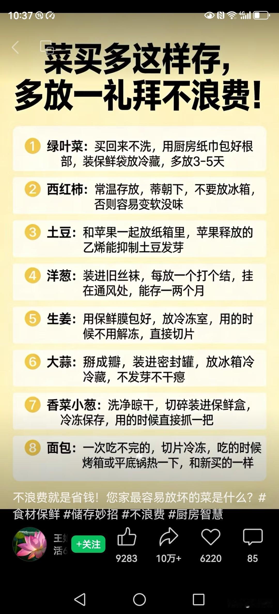 菜买多这样存，多放一礼拜不浪费！