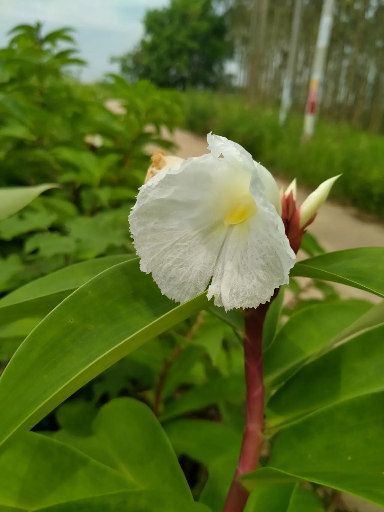 #我的今日感悟#经历岁月的洗礼，我依然选择成为一个充满温情的人。我坚持自己的热爱