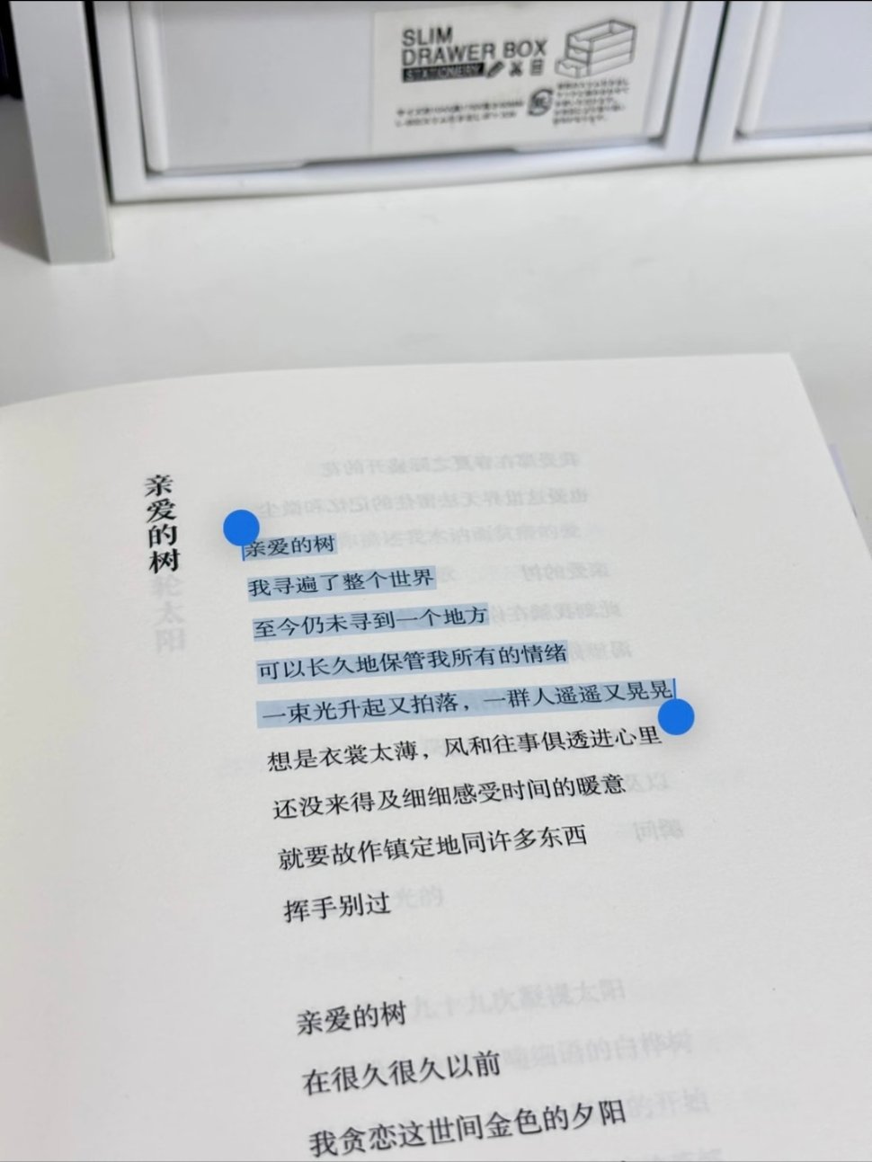 夏日诗集｜我苦等的夏天也终将离开我的身体 