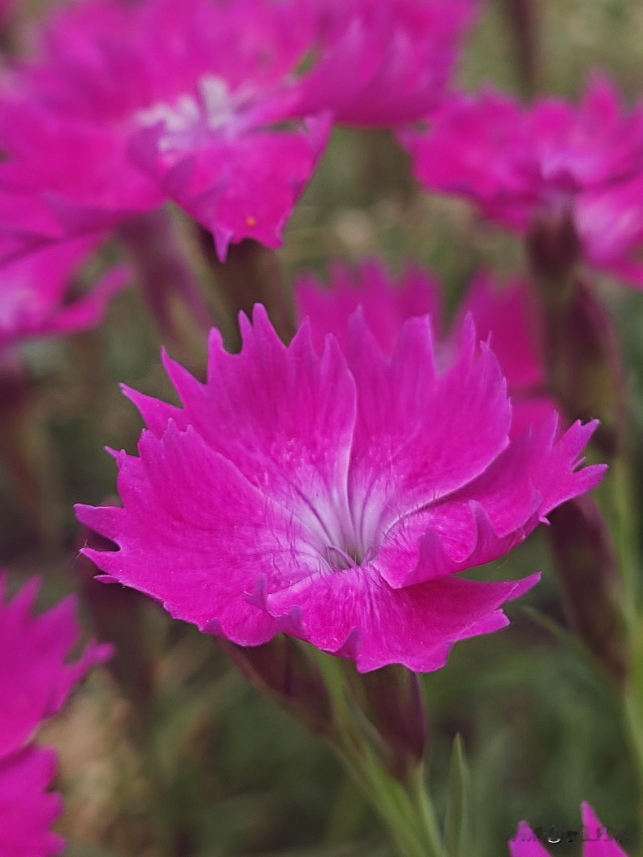 结了婚的女人，千万不要相信一个一个勾搭你的已婚男人，一个对自己婚姻不忠诚的男人，