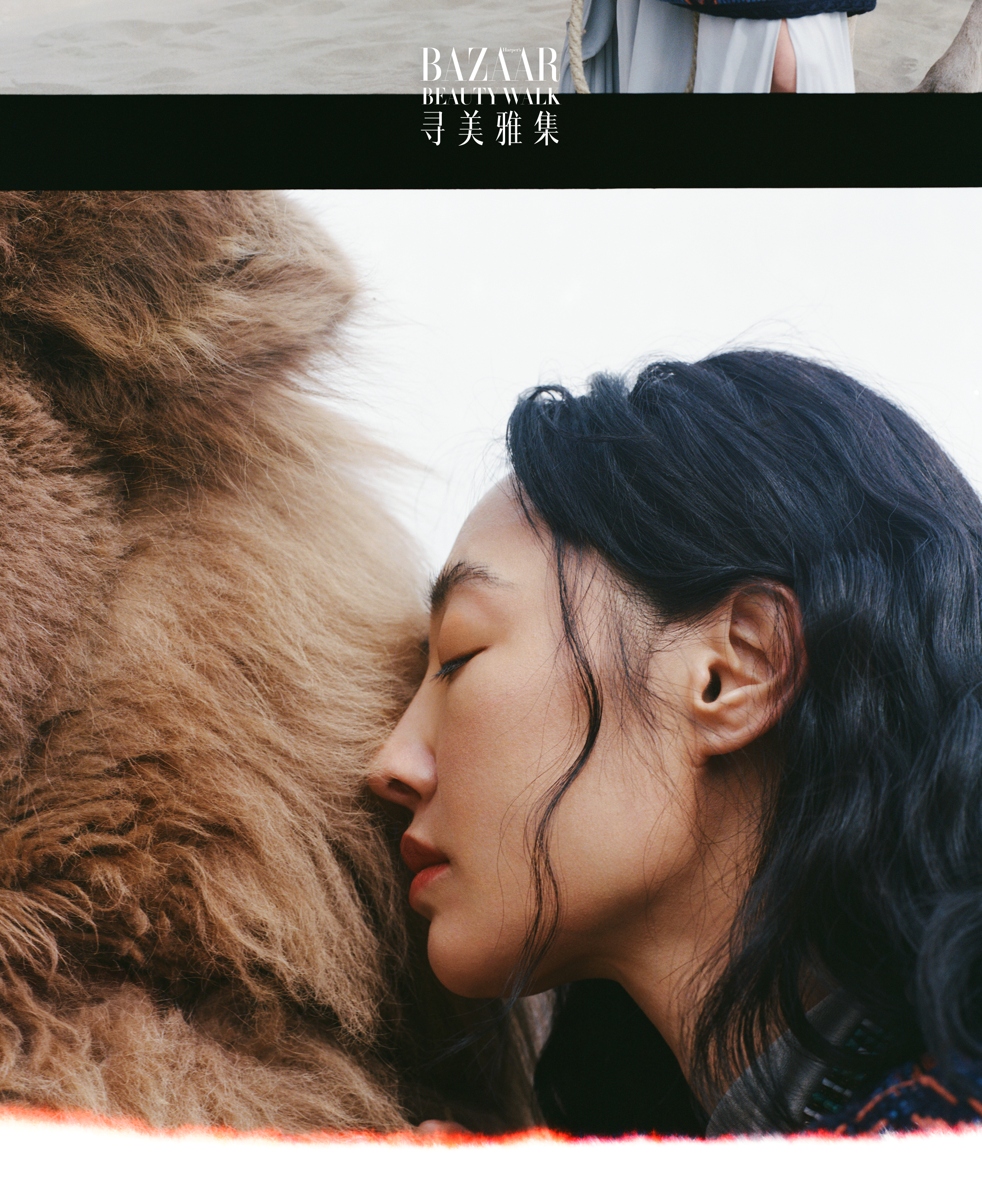 芭莎✖️白百何    很宁静的一组片，西藏林芝雪山与云雾，莫名的疗愈 白百何在林