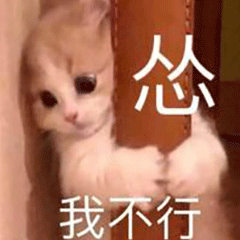 不懂就问，瓜怂、碎怂，烂怂是不是一种怂？是一个意思吗？还是各有各的意思？这是哪个
