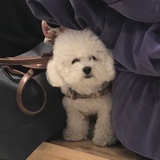 淑苗热读体育