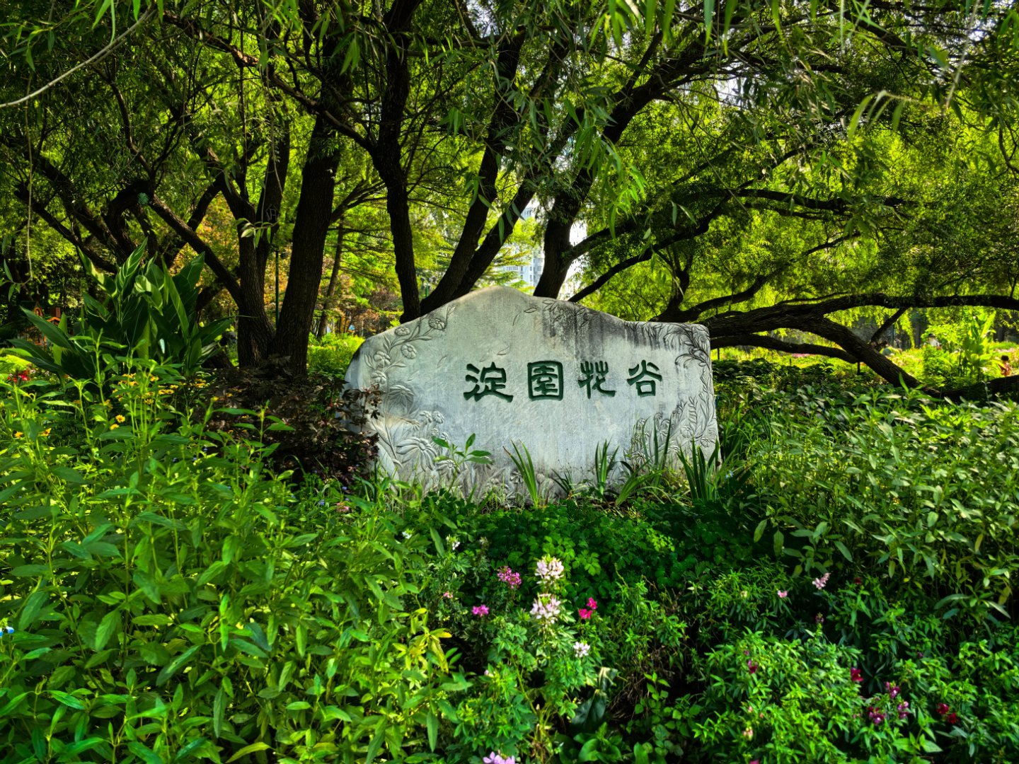 北京范儿古都新韵我真京了在海淀区居住生活这么多年，也是第一次来到海淀公园。这里的