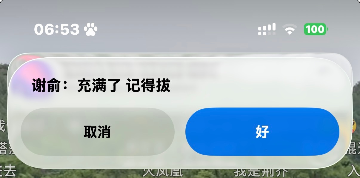 猫猫^^ 