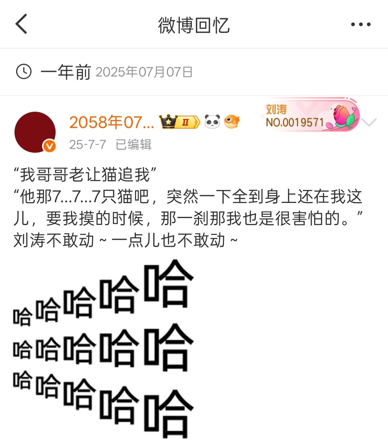 什么时候看到七只猫全跳刘涛身上能不笑啊哈哈哈哈哈哈哈哈哈哈哈 