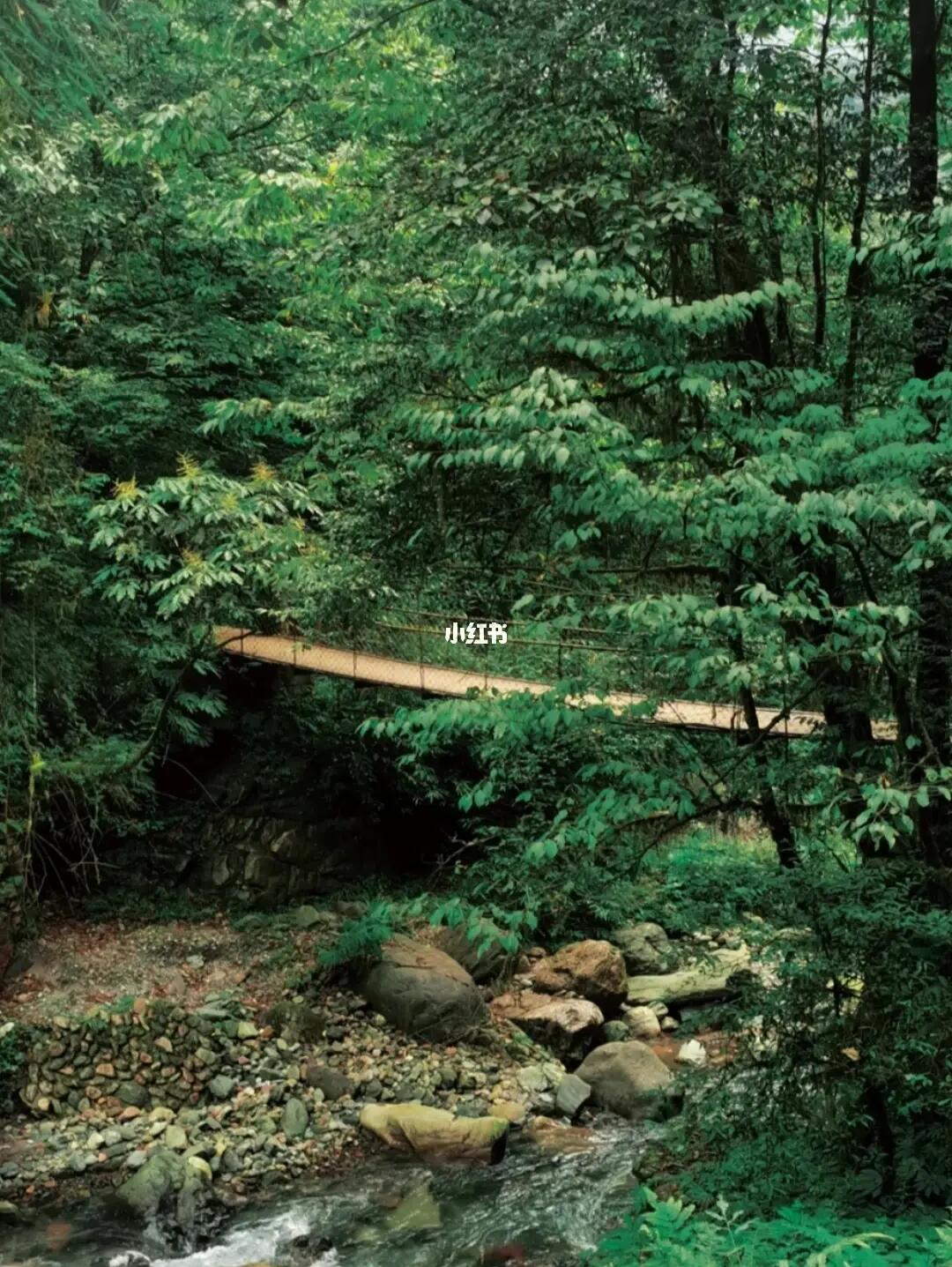 一日徒步|解封后去成都周边登山16个好去处