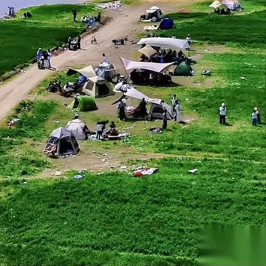 江苏农民

挖断了麦田路

居然是被逼着干的？

春日暖阳下的连片麦田清新出片，