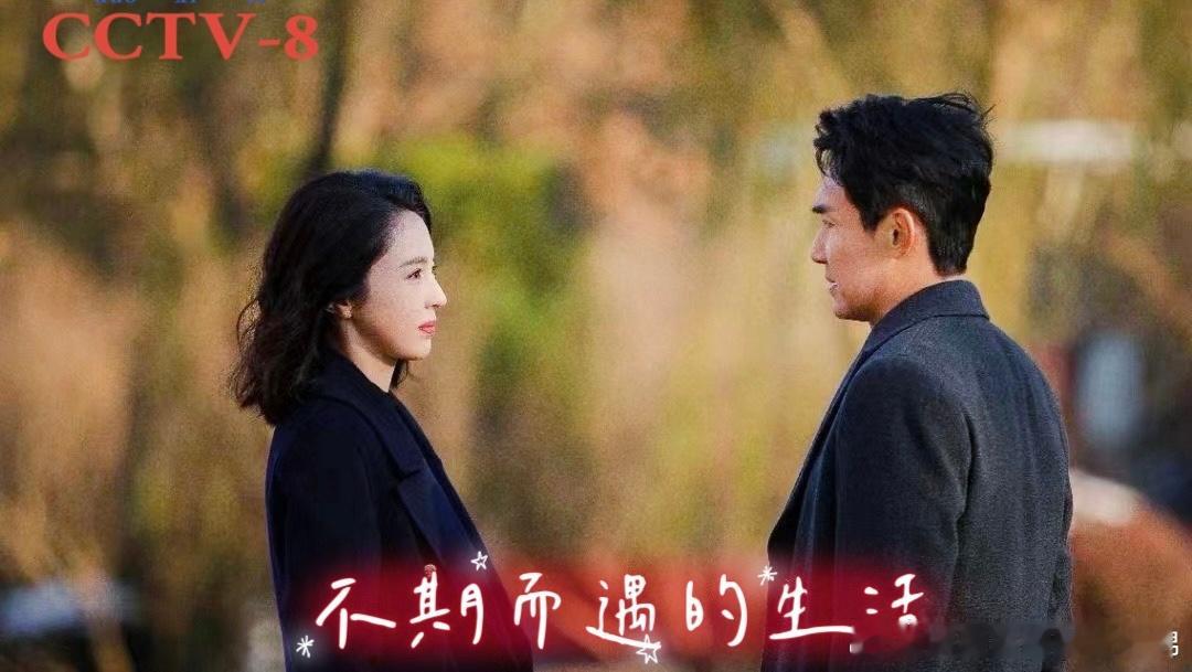 董璇张铎《不期而遇的生活》武洪武再度执导当代都市剧 