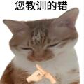 雪兰品课程