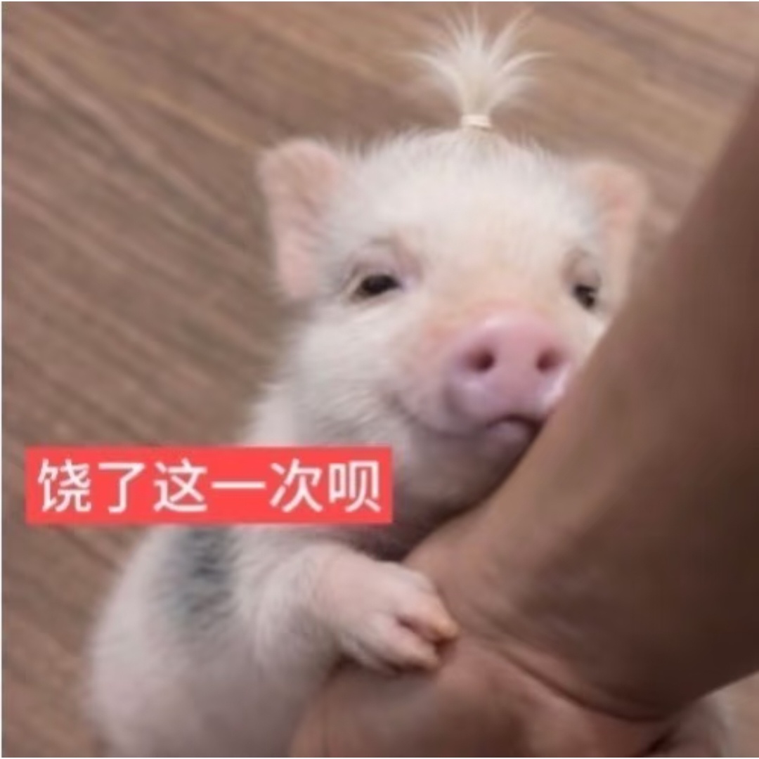 审猪积累 