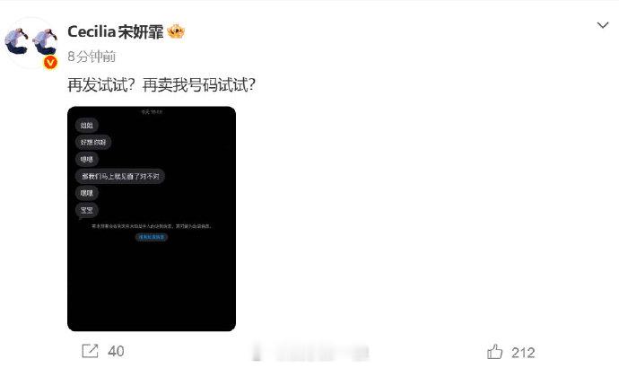 宋妍霏晒私生骚扰记录 有人获得宋妍霏的电话号码还给她发信息.....宋妍霏晒出信
