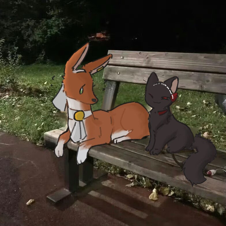 司辰把宠物落在了公园#重返未来1999# ​​​