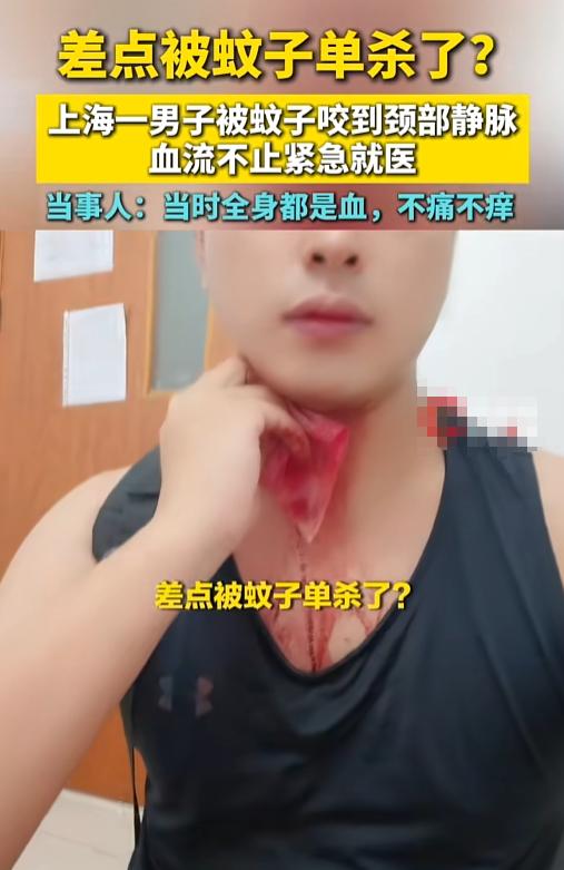 7月21日。一只蚊子来加餐，硬是把饭局吃成了健康课堂。先别忙着炖乌鸡，持续按压伤