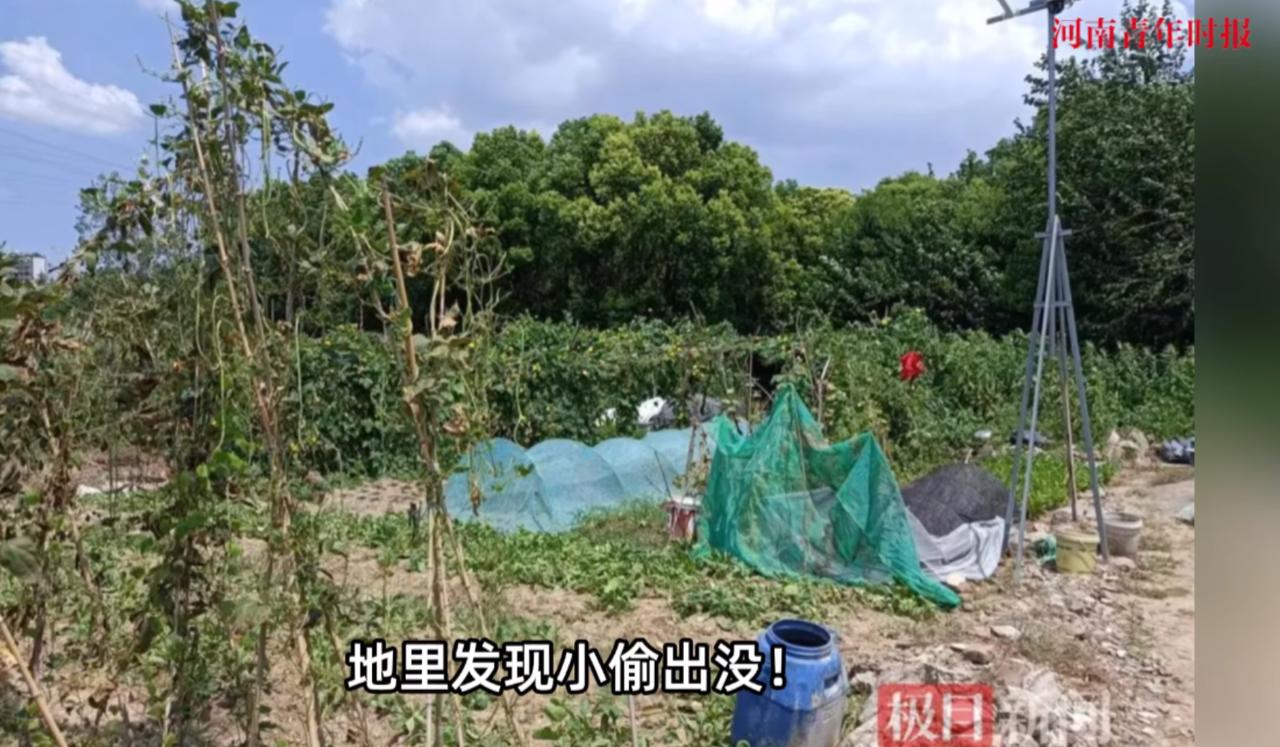 “太缺德了！”8月17日，安徽合肥，两位年轻女子趁着凌晨3点人少的时候，偷偷来到
