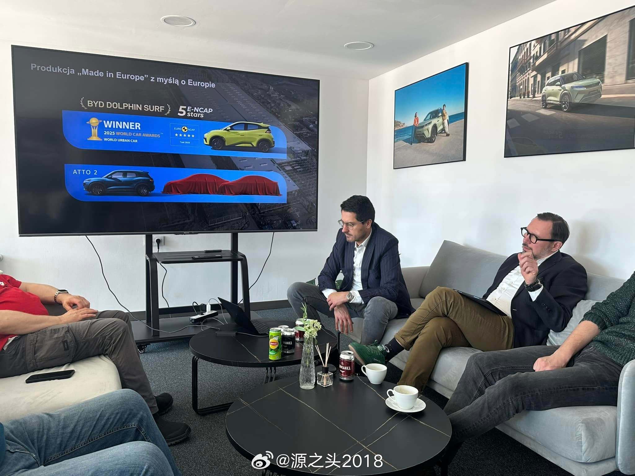 比亚迪 匈牙利塞格德工厂首批投产车型共四款，首款车型为海鸥，第二款为元UP纯电，