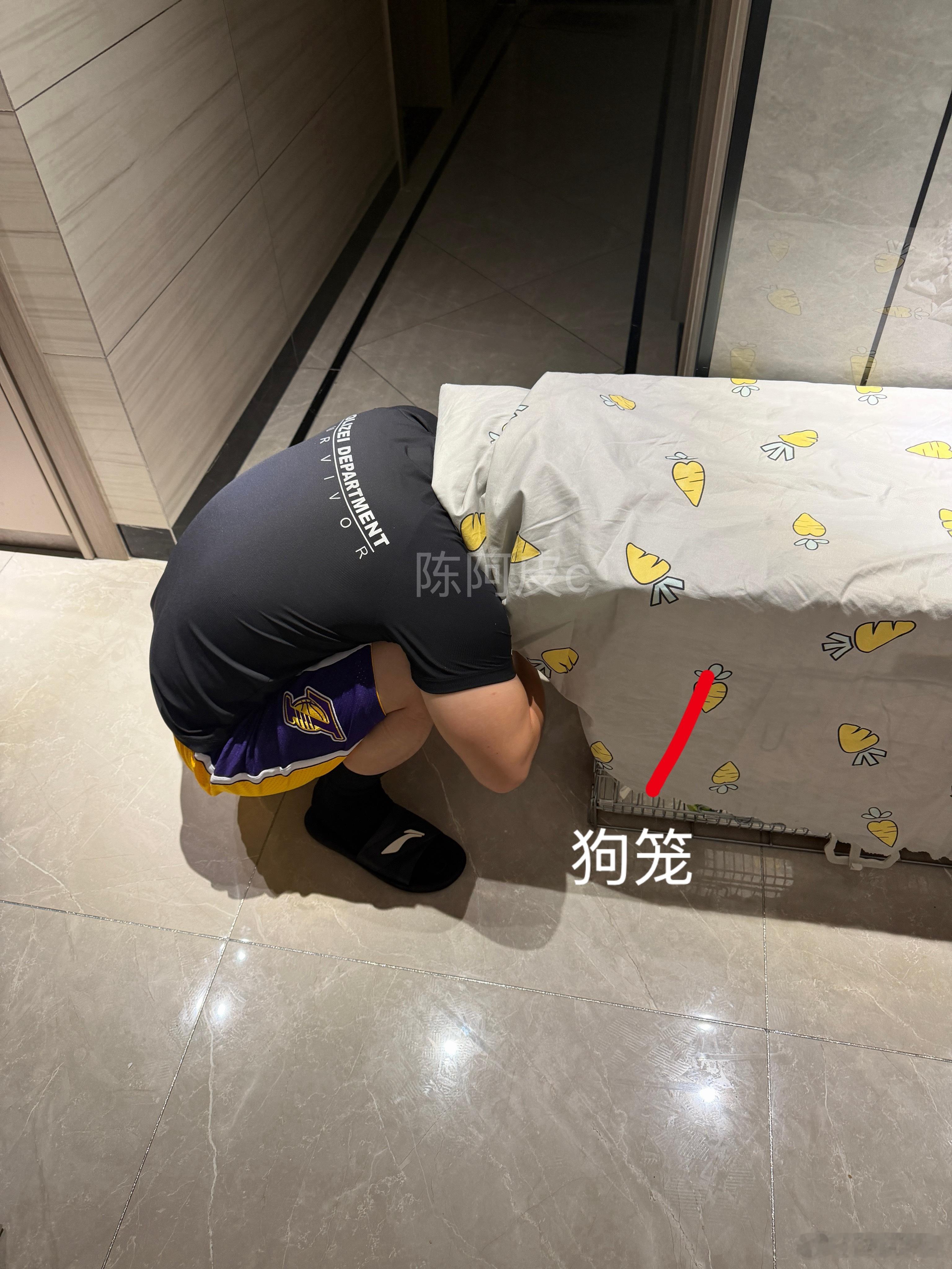 小狗回来要先笼养，晚上搞了一层布，但我又忍不住想看看小狗狗，于是就这样：校园v计