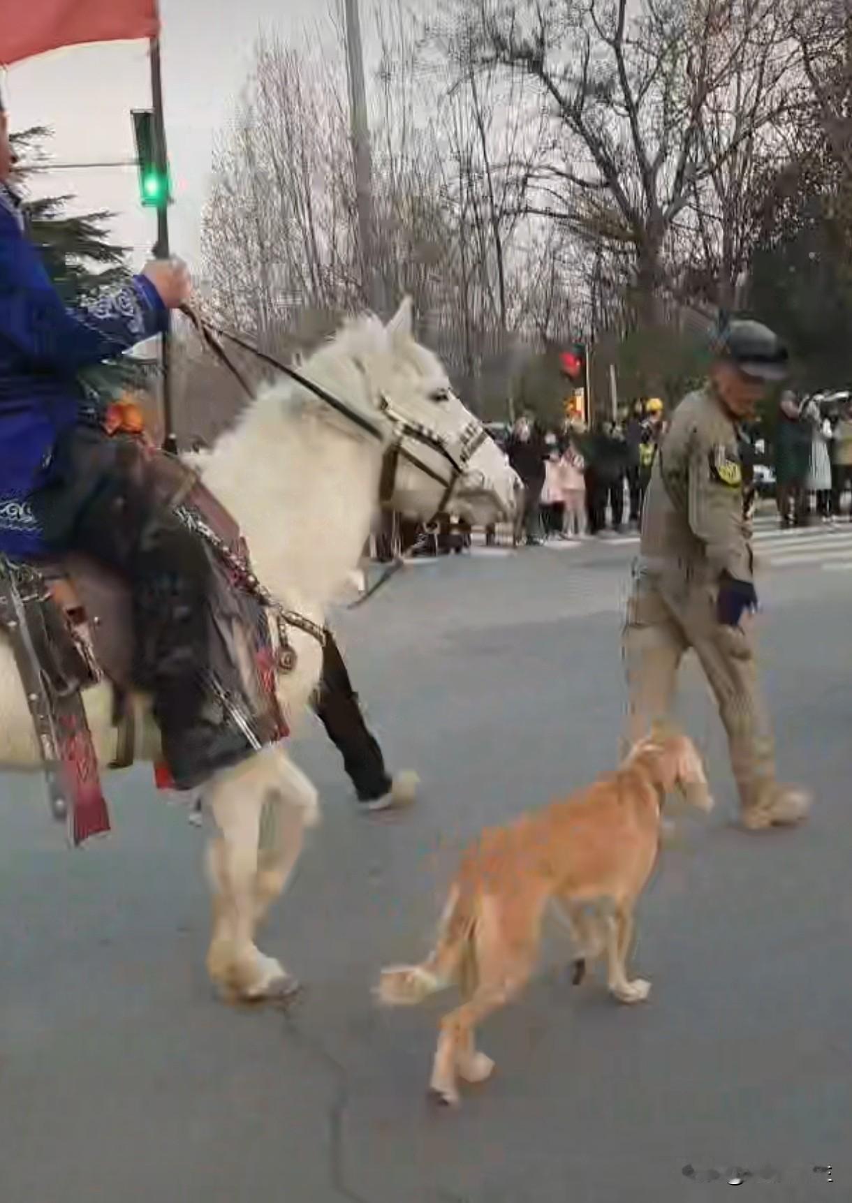 实话实说，沿途群众夹道欢迎的热情，说明他们此行有意义。
再一个“赛力克”和恰夏克
