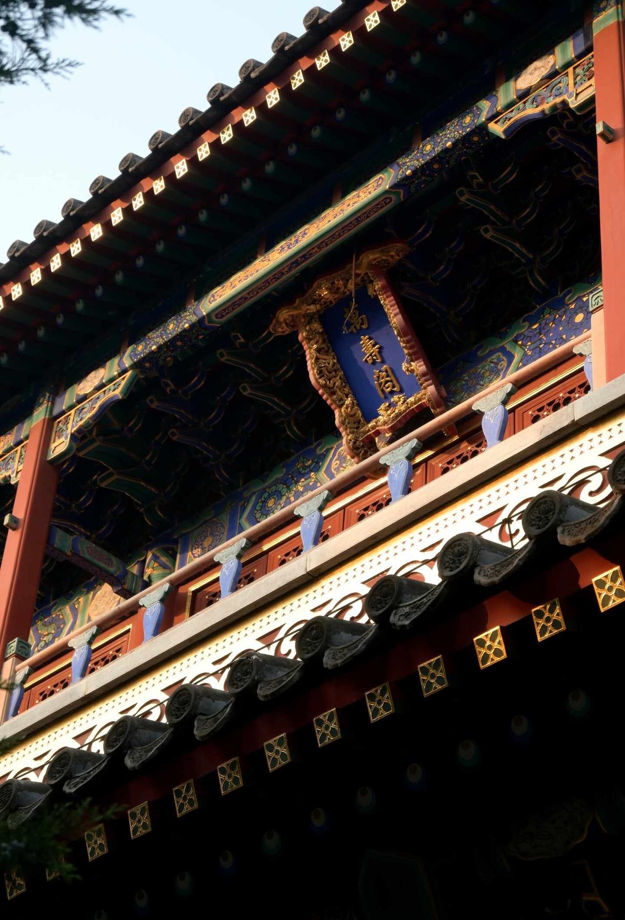 拍|万寿寺
北京出行小记之万寿寺🎞
	
做笔直坚挺的树
做和煦的风
	
📸尼