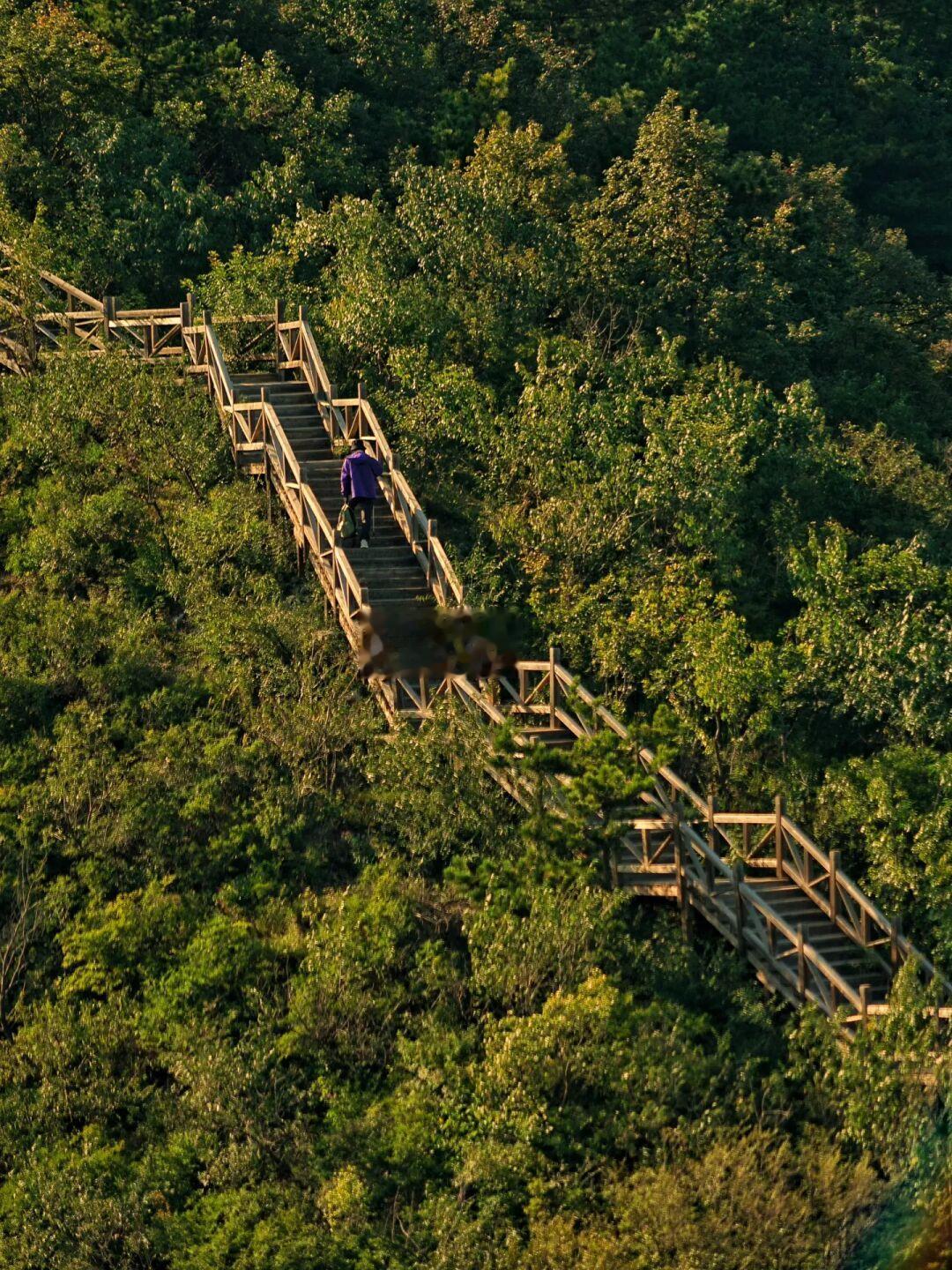 发色的秋，🍁昌赤路边无人栈道短途新人友好